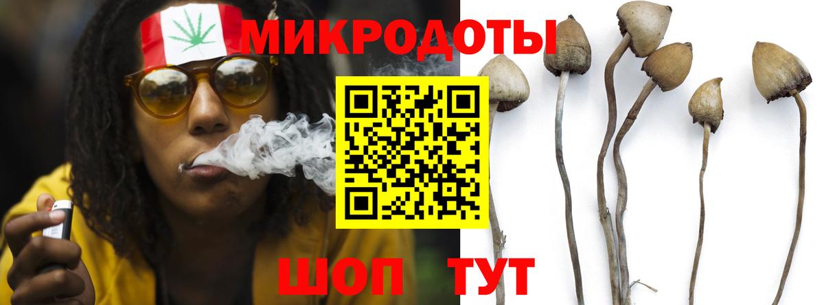 Псилоцибиновые грибы мухоморы  Вход с VPN  где найти   Новый Уренгой 