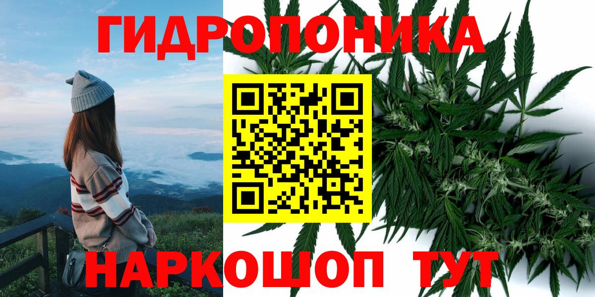 Новый Уренгой  Канабис Bruce Banner  Канабис OG Kush  Шишки марихуана семена  Шишки марихуана SATIVA & INDICA  Вход с VPN 